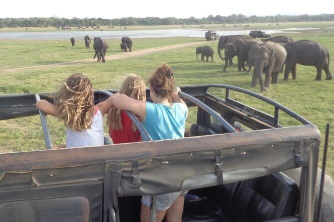 Kaudulla National Park - Private Safari from Sigiriya - The Sum Up