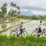 Kaura: Bike to Beach & Choose Optional Tour with Private Transfer - What Makes This Tour Special?