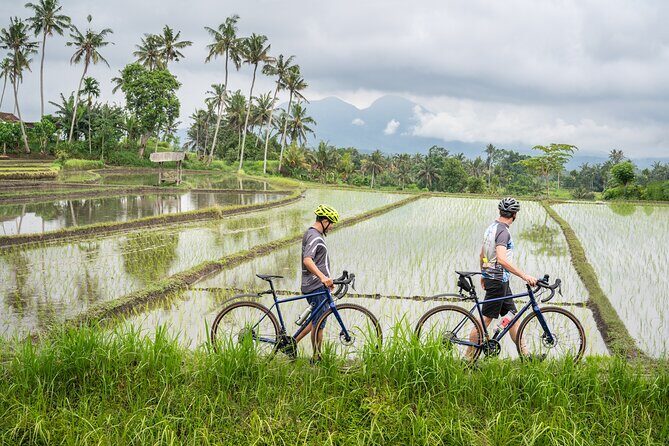 Kaura: Bike to Beach & Choose Optional Tour with Private Transfer - What Makes This Tour Special?