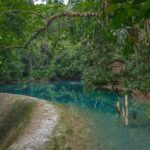 Kawasan Canyoneering, Kawasan Falls and Whaleshark Encounter - Why Choose This Tour?