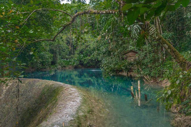 Kawasan Canyoneering, Kawasan Falls and Whaleshark Encounter - Why Choose This Tour?
