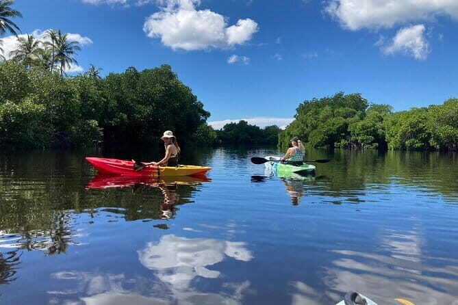 Kayaking Through the Kalpitiya Mangroves - Practical Details and Considerations