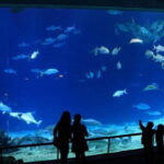 Kenting Aquarium Admission Ticket in Taiwan - The Entrance and General Layout