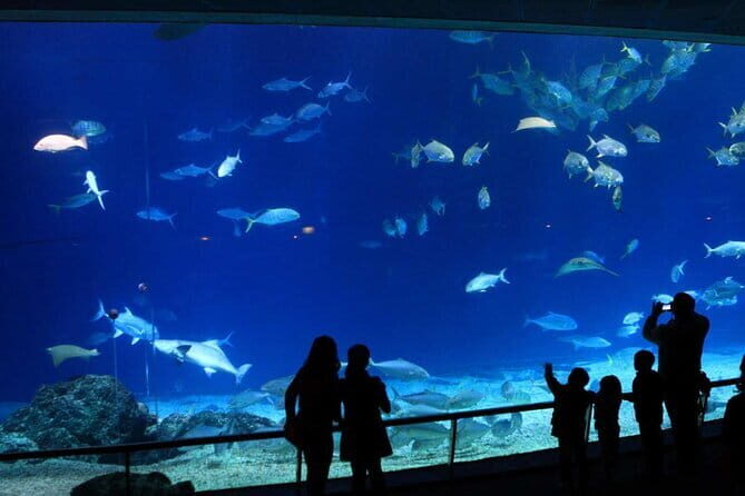 Kenting Aquarium Admission Ticket in Taiwan - The Entrance and General Layout