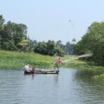 Kerala Backwater Cruise in Exclusive Water Taxi Explores Narrows - Practical Considerations