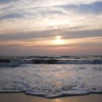Kerala Sea Food Trail: An Excursion To Cherai Beach - What to Expect in Terms of Transportation and Timing