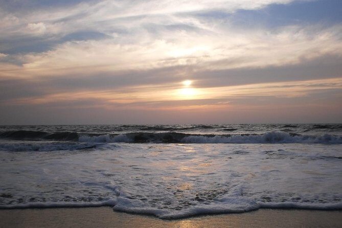 Kerala Sea Food Trail: An Excursion To Cherai Beach - What to Expect in Terms of Transportation and Timing