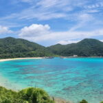 Kerama Tokashiki Island and Whale Watching Tour - Practical Tips for the Tour