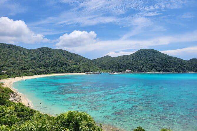 Kerama Tokashiki Island and Whale Watching Tour - Practical Tips for the Tour