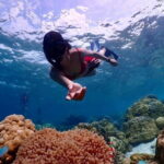 Khao Lak to Similan Islands Lazy Snorkeling by Speedboat - Timing and Logistics