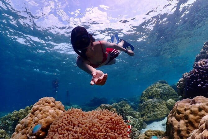 Khao Lak to Similan Islands Lazy Snorkeling by Speedboat - Timing and Logistics