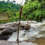 Khao Yai Bat Caves & Night Safari Adventure 3D/2N - What’s Included and What to Consider