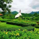 Khao Yai Winery - Vineyard Tours & Animal Lover with Horse Farm - Practical Tips for Travelers