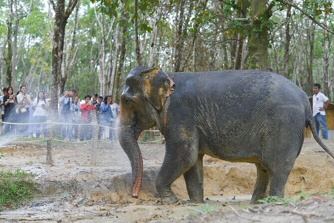 Khaolak Wild Ride and Gentle Giants Experience - Practical Details and What to Expect