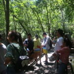 Kilim Geoforest Mangrove Boat Tour (Sharing) - Authentic Insights from Reviewers