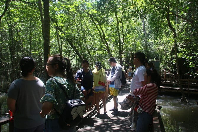 Kilim Geoforest Mangrove Boat Tour (Sharing) - Authentic Insights from Reviewers
