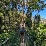Kinabalu Park, Desa Dairy Farm & Poring Hot Springs Tour - Practical Aspects & What to Expect