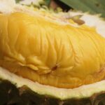 King of Tropical Fruits - Durian Tasting Tour From Kuala Lumpur - Who Should Consider This Tour?