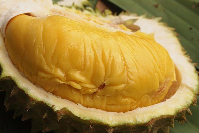 King of Tropical Fruits - Durian Tasting Tour From Kuala Lumpur - Who Should Consider This Tour?