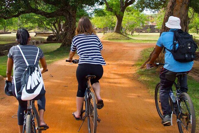 Kingdom Trail Cycling Tour from Colombo - Who Should Consider This Tour?