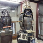 Kintai Kyo Bridge and Iwakuni Castle with Local Guide - Practical Considerations and Value