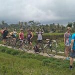 Kintamani Downhill Bike Tour - Final Thoughts