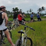 Kintamani Downhill Cycling Adventure - Is It Worth the Price?