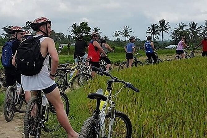 Kintamani Downhill Cycling Adventure - Is It Worth the Price?