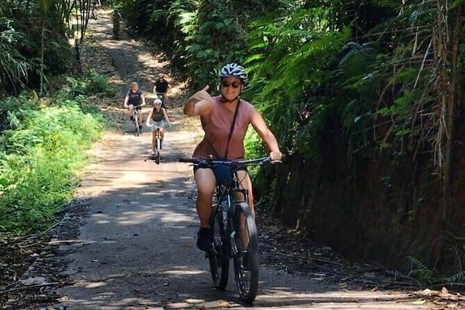 Kintamani to Ubud Downhill Bike Tour with Lunch - What We Love About the Tour