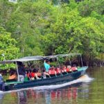 Klias River Fireflies & Wildlife Safari Cruise from Kota Kinabalu - Practical Details and What to Expect