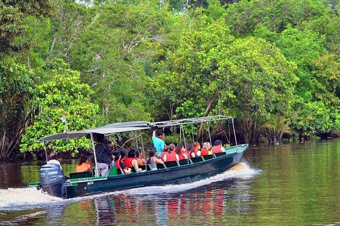 Klias River Fireflies & Wildlife Safari Cruise from Kota Kinabalu - Practical Details and What to Expect