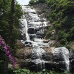 Kodaikanal Sightseeing Tour Package 3 Days & 2 Night - Accommodation and Meals
