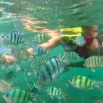 Koh Phangan Snorkelling Cruise with Sunset - The Experience in Detail