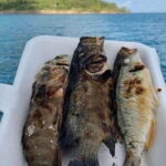 Koh Rong Fishing & Snorkeling tour (Private) - Practical Details and What You Can Expect