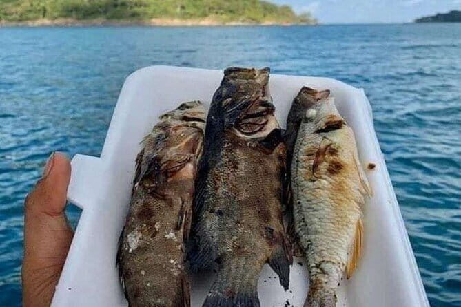 Koh Rong Fishing & Snorkeling tour (Private) - Practical Details and What You Can Expect