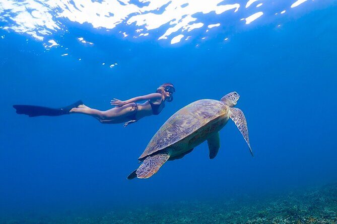 Koh Tao Viewpoint and Snorkeling Tour - Who Is This Tour Best For?