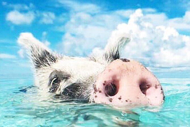 kohsamui.tours - Secret Islands Longtail Boat trip - Who Will Love This Tour?