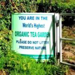 Kolukkumalai Jeep safari -tea trail and Orthodox Tea Factory visit -Private Tour - Who Should Consider This Tour?