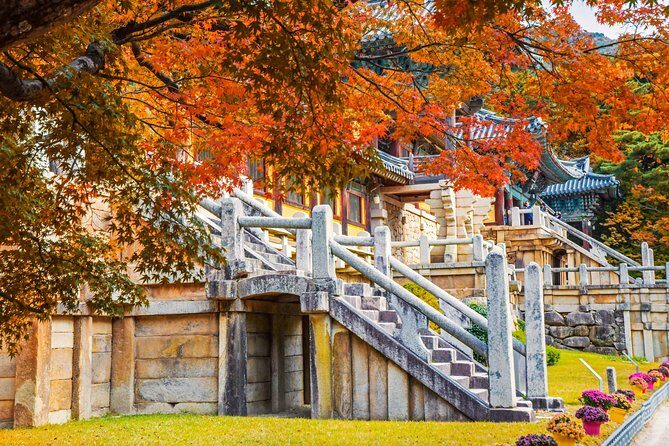 KORAIL Pack Voyager: Gyeongju, Busan and Jeju 5 Days from Seoul - Who Is This Tour Best For?