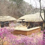 Korean Folk Village Private Tour - The Itinerary Breakdown