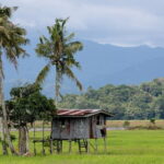Kota Belud Sunday Market Tour from Kota Kinabalu - The Value of the Tour: Price, Duration, and Experience