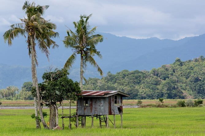 Kota Belud Sunday Market Tour from Kota Kinabalu - The Value of the Tour: Price, Duration, and Experience