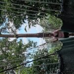 Kota Kinabalu to Kundasang Private Day Tour and Poring Hot SPA - Who Should Consider This Tour?