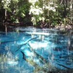 Krabi Emerald Pool, Hot Spring and Tiger Temple - Authentic Insights from Reviews