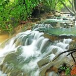 Krabi Jungle Tour (Emerald Pool, Hot Spring & Tiger Cave) - FAQs about the Krabi Jungle Tour