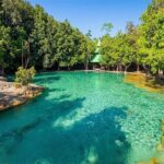 KRABI: Jungle Tour (Emerald Pool-Hot Spring-Waterfall) With Lunch - What Makes This Tour Stand Out?