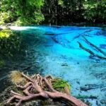 Krabi Jungle Tour with Kayaking at Ao Thalan - Whats Included and Whats Not
