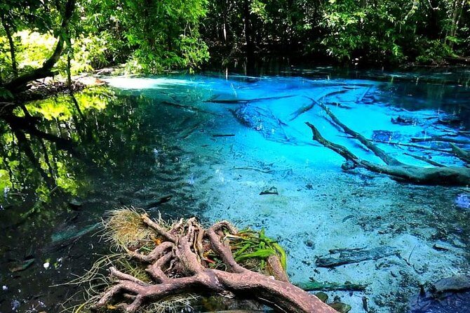 Krabi Jungle Tour with Kayaking at Ao Thalan - Whats Included and Whats Not