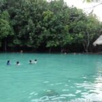 Krabi Jungle Tour:Hot Spring Waterfall,Emerald Pool & Tiger Cave - Practical Details and Tips