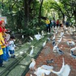 Kuala Lumpur Bird Park, Butterfly Farm And Taman Orkid Include All Entrance - Practical Details and What to Expect